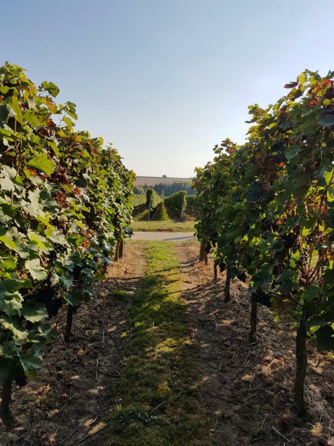 Weingut & Gaestehaus Nagel Kapellen-Drusweiler Экстерьер фото