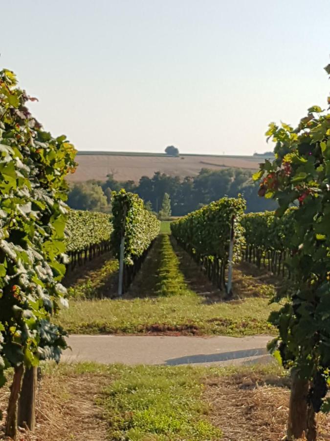 Weingut & Gaestehaus Nagel Kapellen-Drusweiler Экстерьер фото